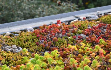 the cost of Washfold green roof installation